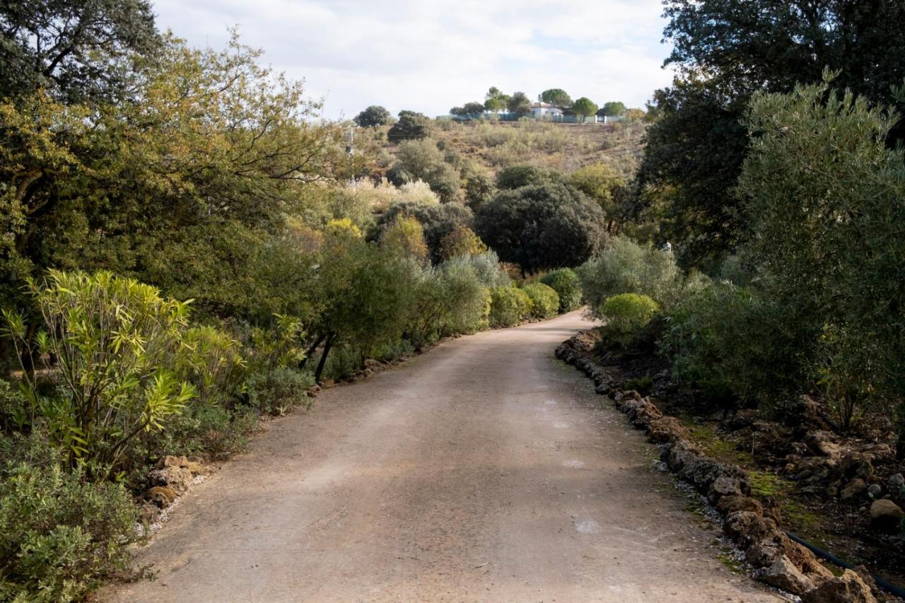 Refugio Andaluz Con Piscina Entre Olivos Villanueva de Tapia Exterior foto