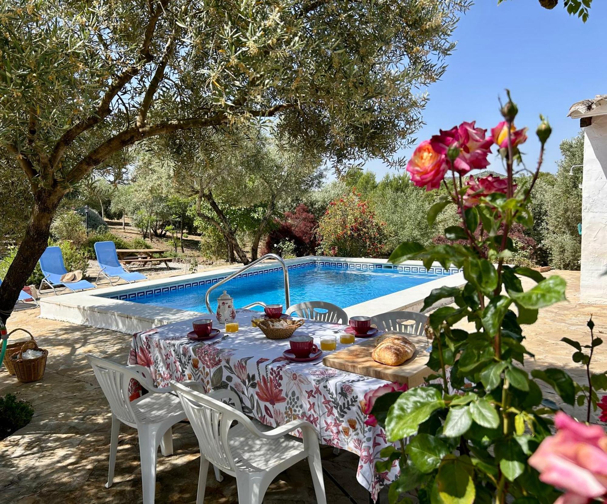 Refugio Andaluz Con Piscina Entre Olivos Villanueva de Tapia Exterior foto
